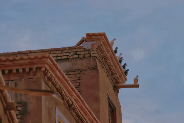 此生必去的新疆怎麼玩？看完這篇就夠了