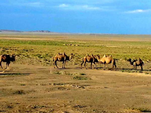 自駕房車旅行亞歐的軼聞趣事（03）