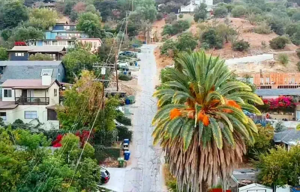 世界上最陡峭的街道，普通的車都上不去，恐高的人會害怕