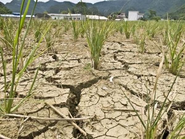 三國人物 | 54諸葛亮廢李嚴之謎（下）：蜀漢人才凋零的另一種解釋