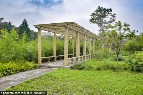 免費!這幾個公園風景如畫,還有竹林、大草坪~ 免費!這幾個公園風景如畫,還有竹林、大草坪~