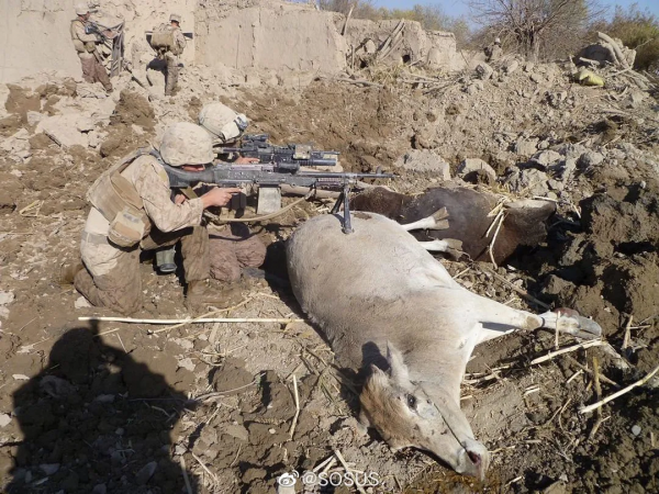 韓國F-5墜毀現場畫面曝光,飛行員遺體留在飛機內丨圖說軍事 韓國F-5墜毀現場畫面曝光,飛行員遺體留在飛機內丨圖說軍事