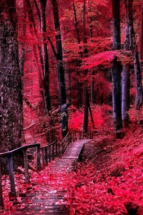 世界很大，風景很美，而你卻不是那個想走就走的人