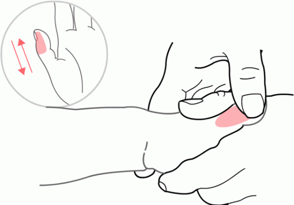 “冬至進補，來年壯如虎”記住這個方法，孩子身體棒棒噠