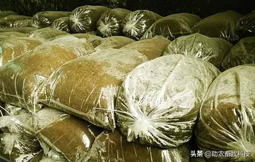 豆渣等糟渣低成本發酵技術，不用新增玉米發酵速度更快營養更高