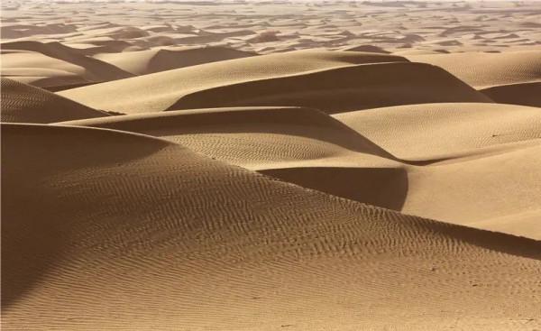 在“死亡之海”建公路 | 科普央企那些事兒