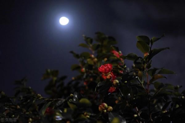 西江月 中秋 舉杯賞月百花前