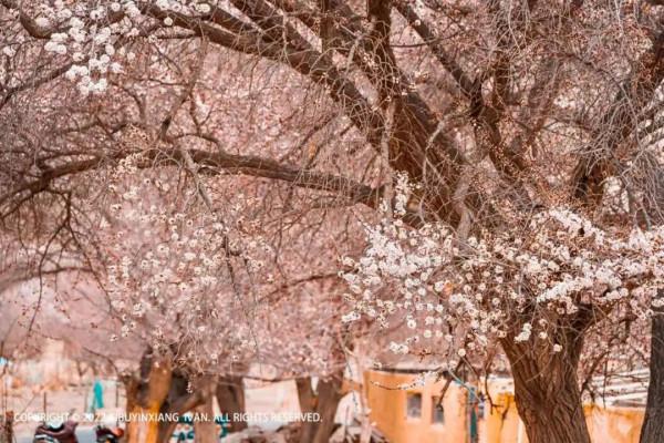 五一，或許有機會去這些地方.......