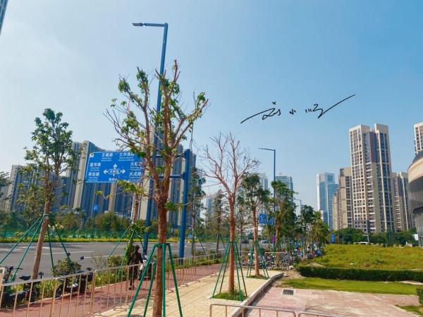 實拍佛山新城,高樓大廈密集,看起來非常氣派,可惜卻沒什麼人氣 實拍佛山新城,高樓大廈密集,看起來非常氣派,可惜卻沒什麼人氣