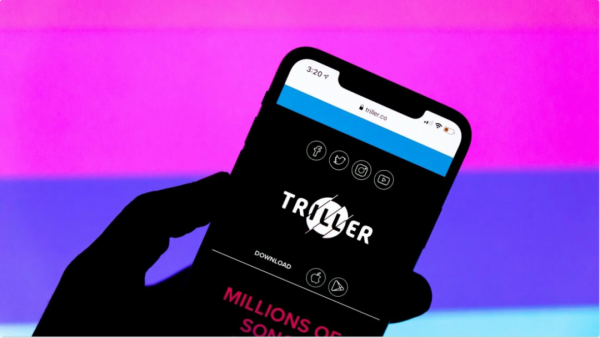 全面叫停偶像養成網綜，音著協歷年許可收入破30 億元