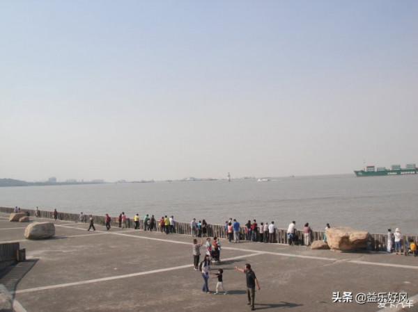 奇異志 黑心賊抓毒蛇險些喪命，捕蛇者巧施計引蛇出洞