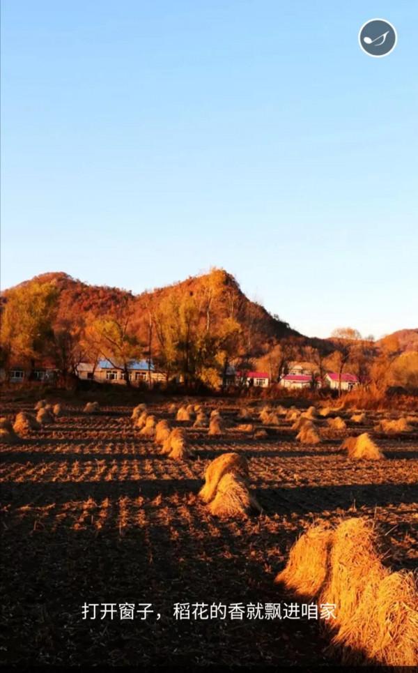 五常的秋天，不想和你說再見