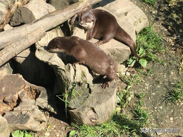俯瞰山谷美景，體驗傳統威爾士農舍住宿（一）