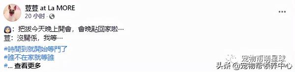 狗狗蹲坐在門口等爸爸4小時，爸爸一回家秒變嚶嚶怪：我好想你