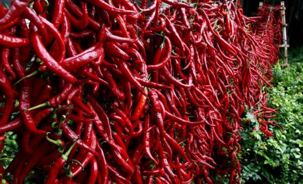 1947年,毛主席警衛員在昏迷中被送進太平間,死裡逃生後間諜浮現 1947年,毛主席警衛員在昏迷中被送進太平間,死裡逃生後間諜浮現