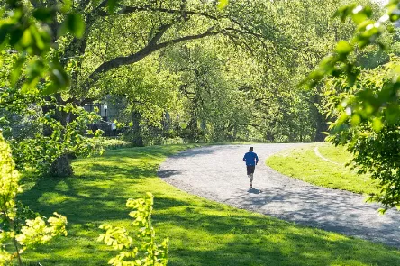 兩款藥膳清粥小菜，春季養肝最適合