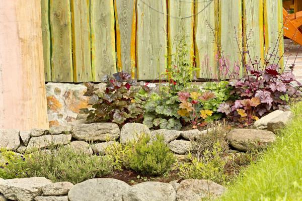 零度以下都能活，難怪這些花這麼受喜歡