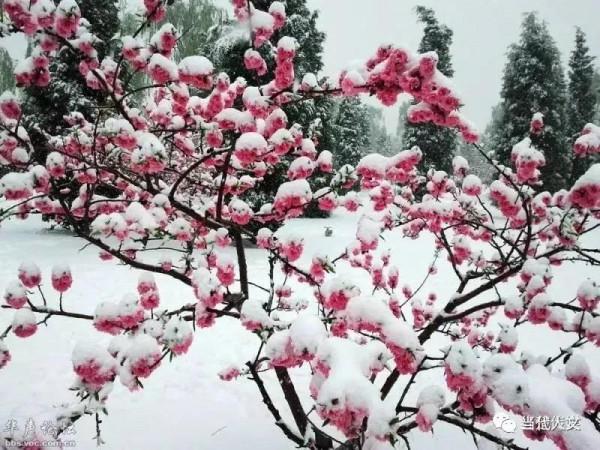 曾仕強：明哲保身是最高明的處世方式