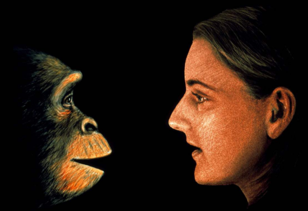 人類仍在進化！2020年研究：手臂長出新血管，會永久進化嗎？