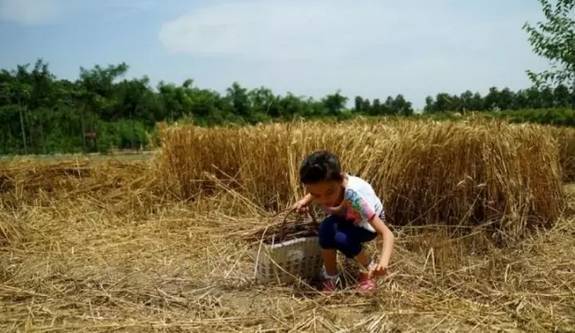 河南農村娃677分上清華,一家養豬艱難生活,為5000塊學費發愁 河南農村娃677分上清華,一家養豬艱難生活,為5000塊學費發愁