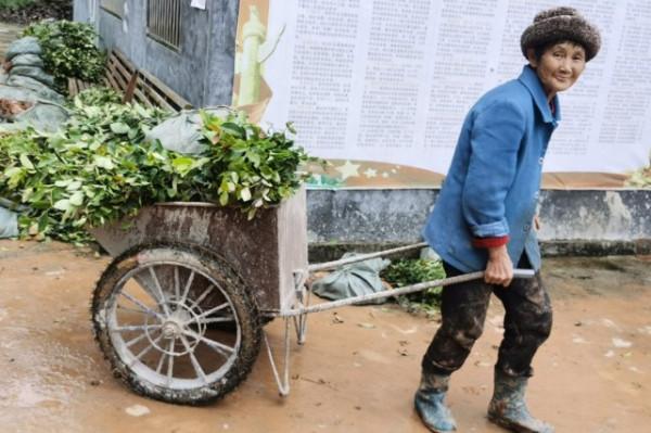 農村的6個老物件,至今能見到的不多了,勾起了我的回憶 農村的6個老物件,至今能見到的不多了,勾起了我的回憶