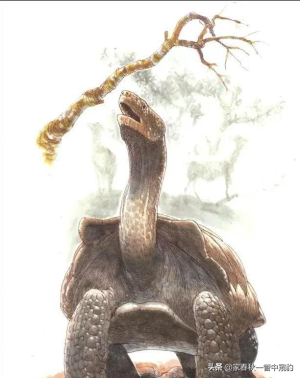 敖廣、敖欽推杯換盞，龜臣相領旨力拒海浪