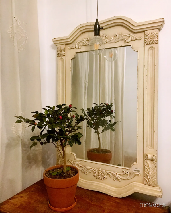 獨居女子神級改造60平小戶型，竟塞下五大功能區，收納顏值雙逆襲