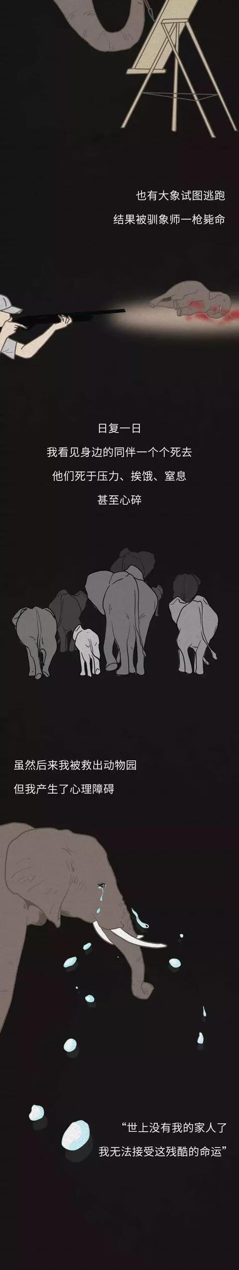 漫畫：你們也是這樣毀掉我的一生的