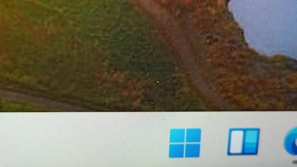 入手遊戲本後感想