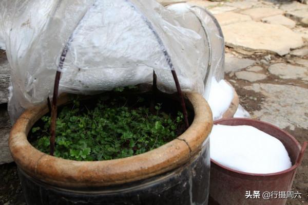 7旬大叔獨守500年古堡，1臺電視機用了30年，看他活成啥樣