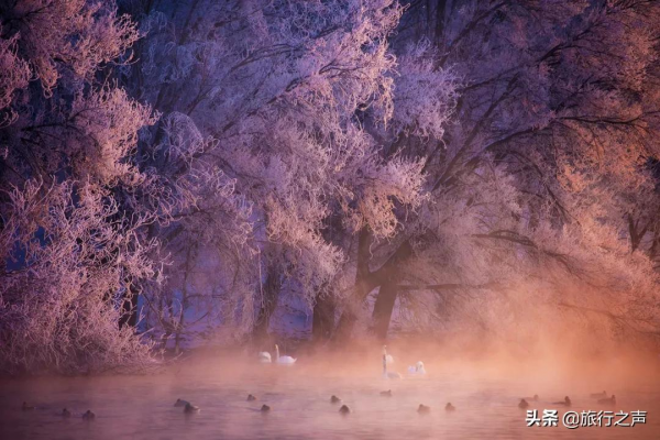 冬季的喀納斯很少有人發現它的美，整個畫面都是純粹的克萊因藍