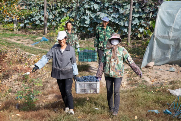 北方的邊境線 - 在雲峰大壩相望朝鮮