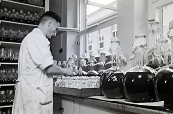 1952年,聶榮臻找毛主席告狀,毛主席聽後大怒:如此奸商,該殺 1952年,聶榮臻找毛主席告狀,毛主席聽後大怒:如此奸商,該殺