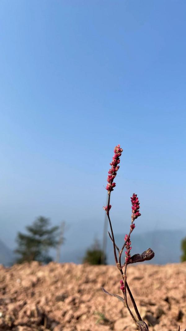 徒步大邑藥師巖