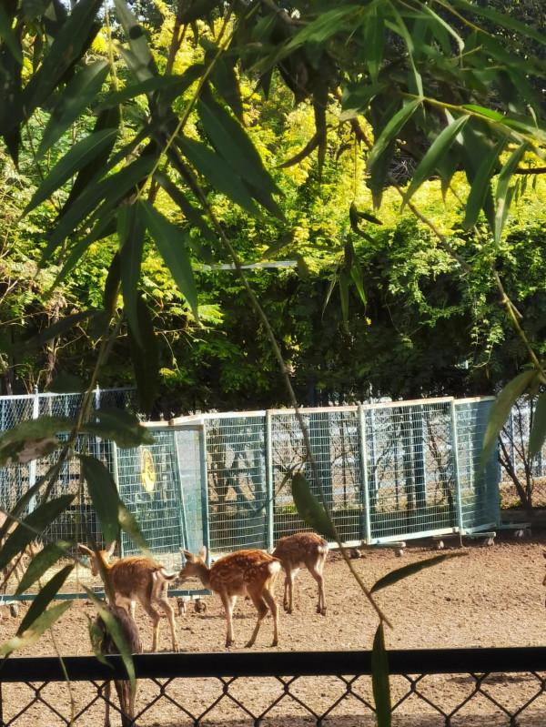 南海子公園咋恁美？