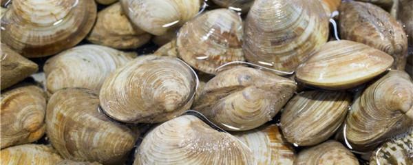 蛤蜊還在爆炒嗎？教你一個新吃法，又鮮又嫩，小孩也可以吃上一盤