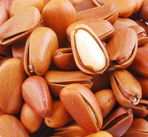 北大荒的秋天釆山記(六)