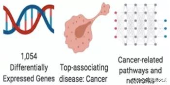 一文解鎖機制研究神器——IPA分析 一文解鎖機制研究神器——IPA分析