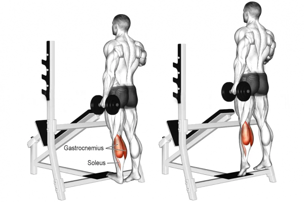 「耀&bull;健身」練遍全身，你只差一對啞鈴