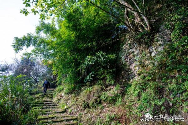 行走的風景——嶽池伏龍之二