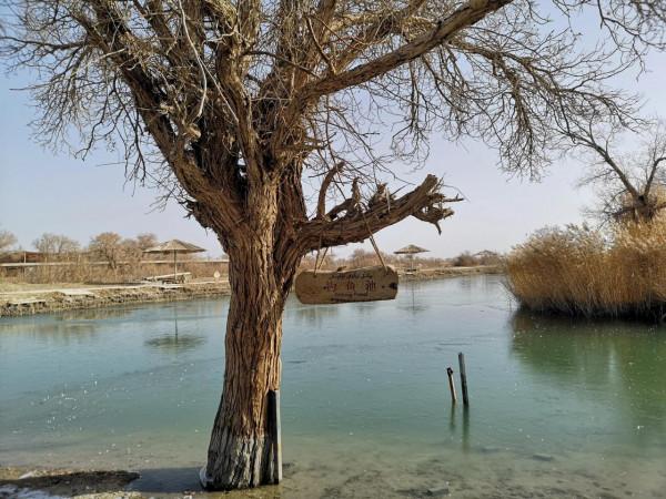 初冬的羅布人村寨