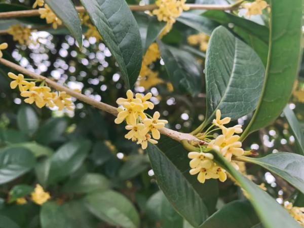 一年四季，這些“絕美”的瞬間你見到了嗎？