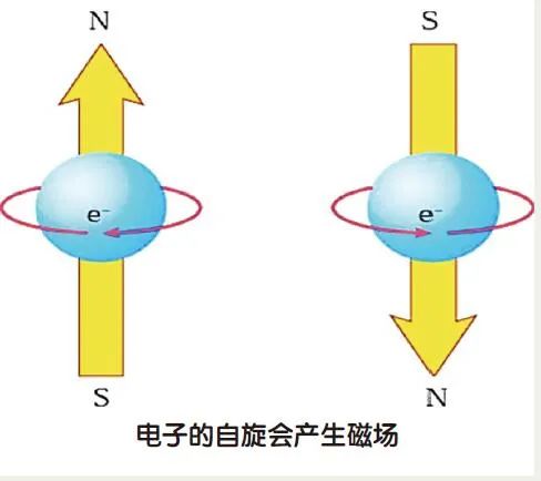 青蛙都學會挑戰重力了,人類如何“抗重力”實現飛翔? 青蛙都學會挑戰重力了,人類如何“抗重力”實現飛翔?