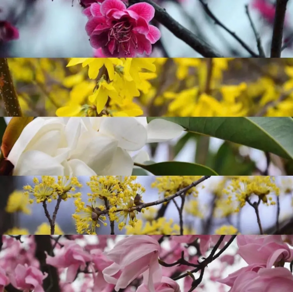 其實吧，四川真的不止有成都