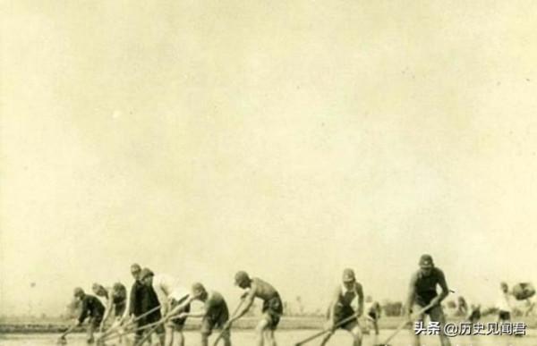 日軍拿著鋤頭在我國的農田裡耕作，這是比他們的炮火更可怕的武器