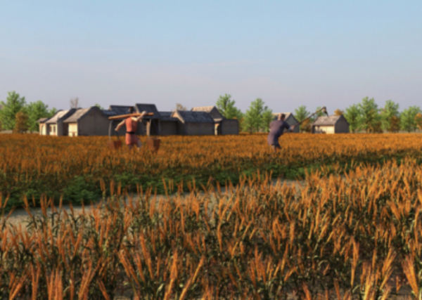 65歲的他三個月收入三萬，他是怎麼做到的