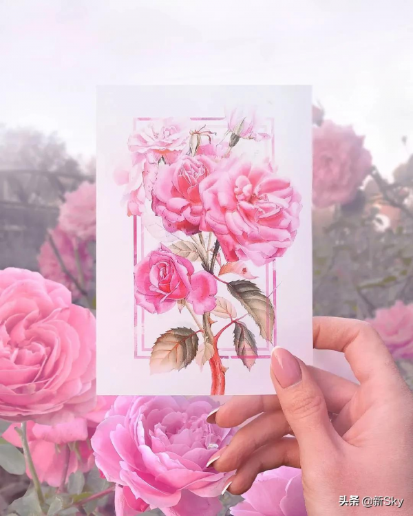 美極了!畫中花,花中畫 美極了!畫中花,花中畫