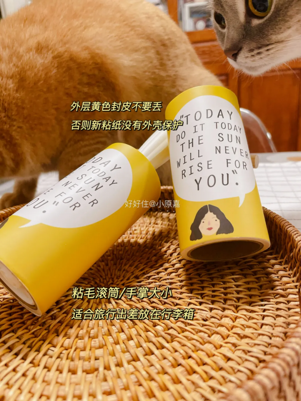 20元以下的家居好物，這6件閉眼入