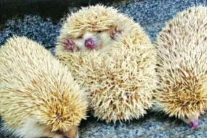 冬天雖冷,因為有你相擁而溫暖 冬天雖冷,因為有你相擁而溫暖