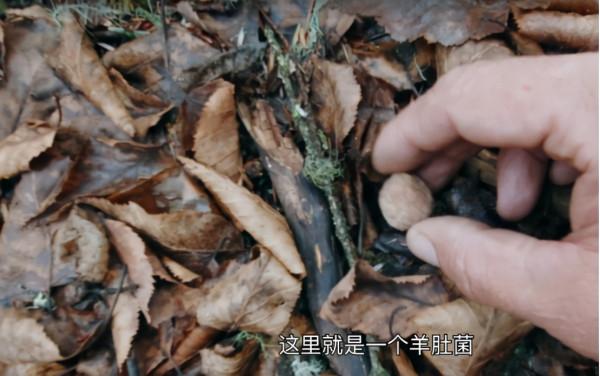 是第一次也是最後一次見到雪，鍾漢良新綜翻越夾金山，致敬先輩